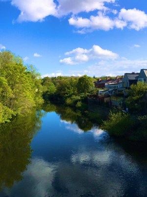 “How can you own water really?”: rivers, (cash)flow and&nbsp;Ulysses